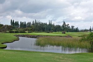 Turtle Bay (Palmer) 7th Approach